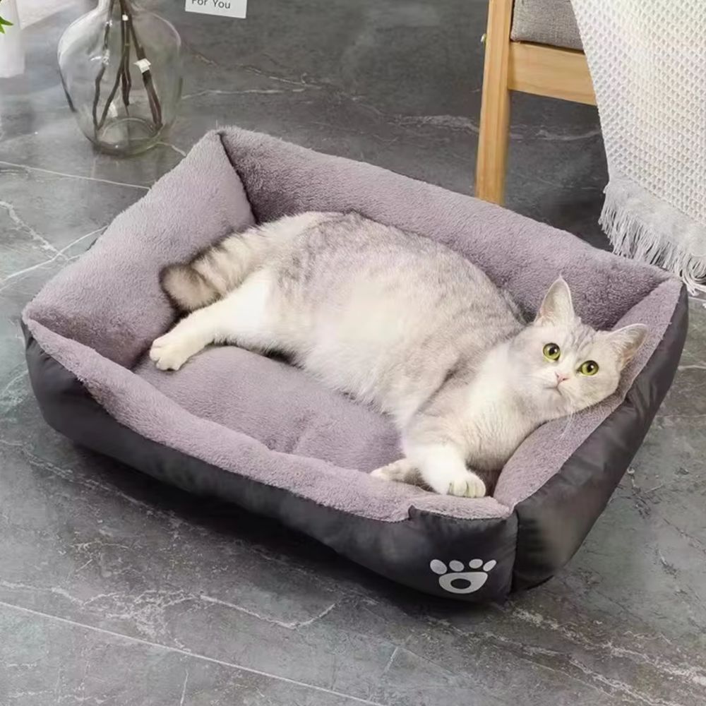 How to care?