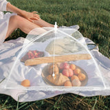 Mesh Pop-Up Food Protector