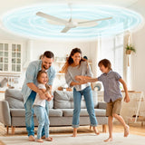 Ceiling Fan Air Filters | For Indoor & Hay Fever Allergies